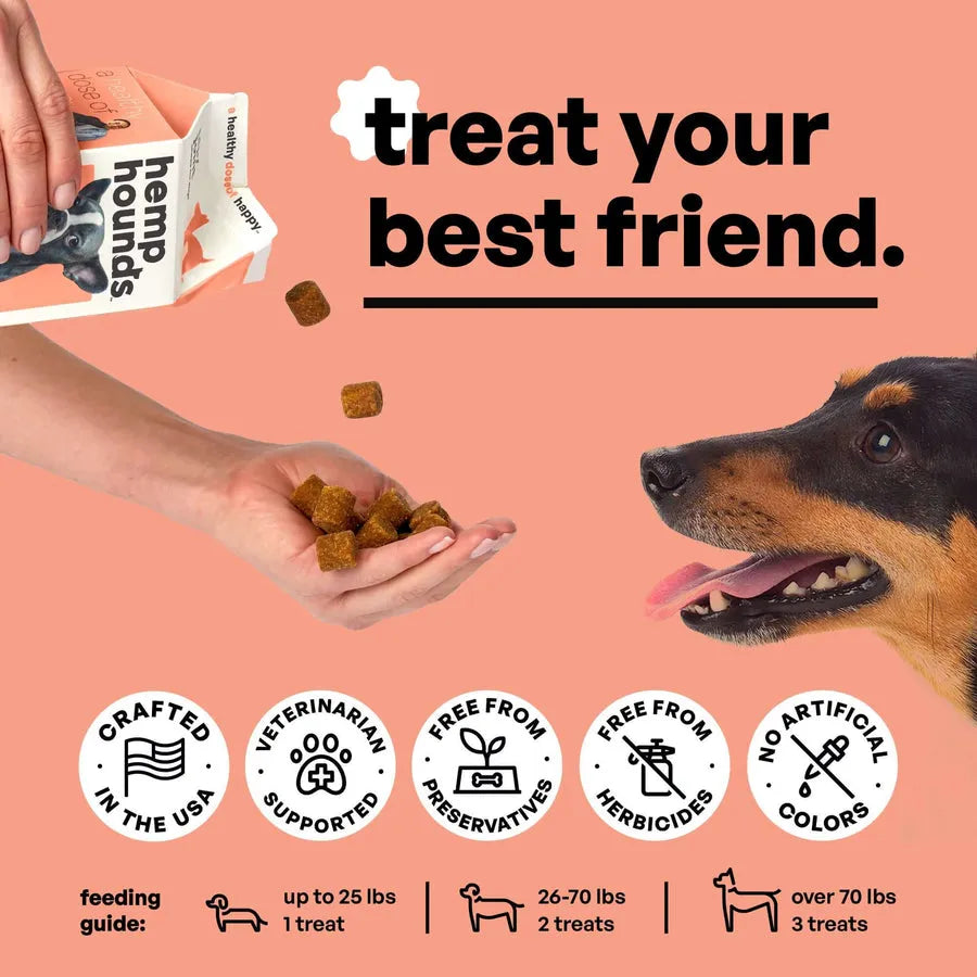 A happy dog being fed Hemp Hounds chews by hand