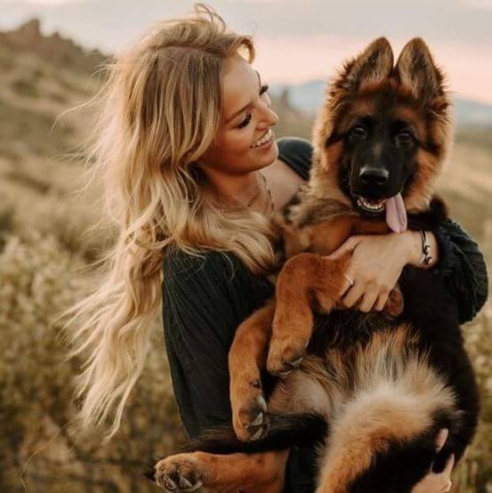 Hemp: The Adaptogenic Wonder for Dogs