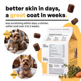 skin / coat